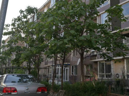 沈阳小格镇社区二手房、租房及房价全解析