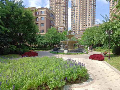 沈阳美域天成在售在租房源全解析 芒果在线提供便捷房屋租赁服务